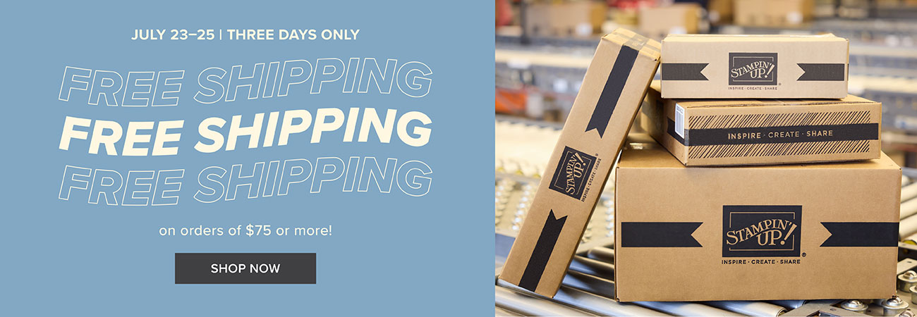 Dbws hmpg wnew na 0725 free shipping